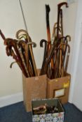 THREE BOXES OF WALKING CANES, STICKS AND SPARE FERRULES, to include approximately thirty nine