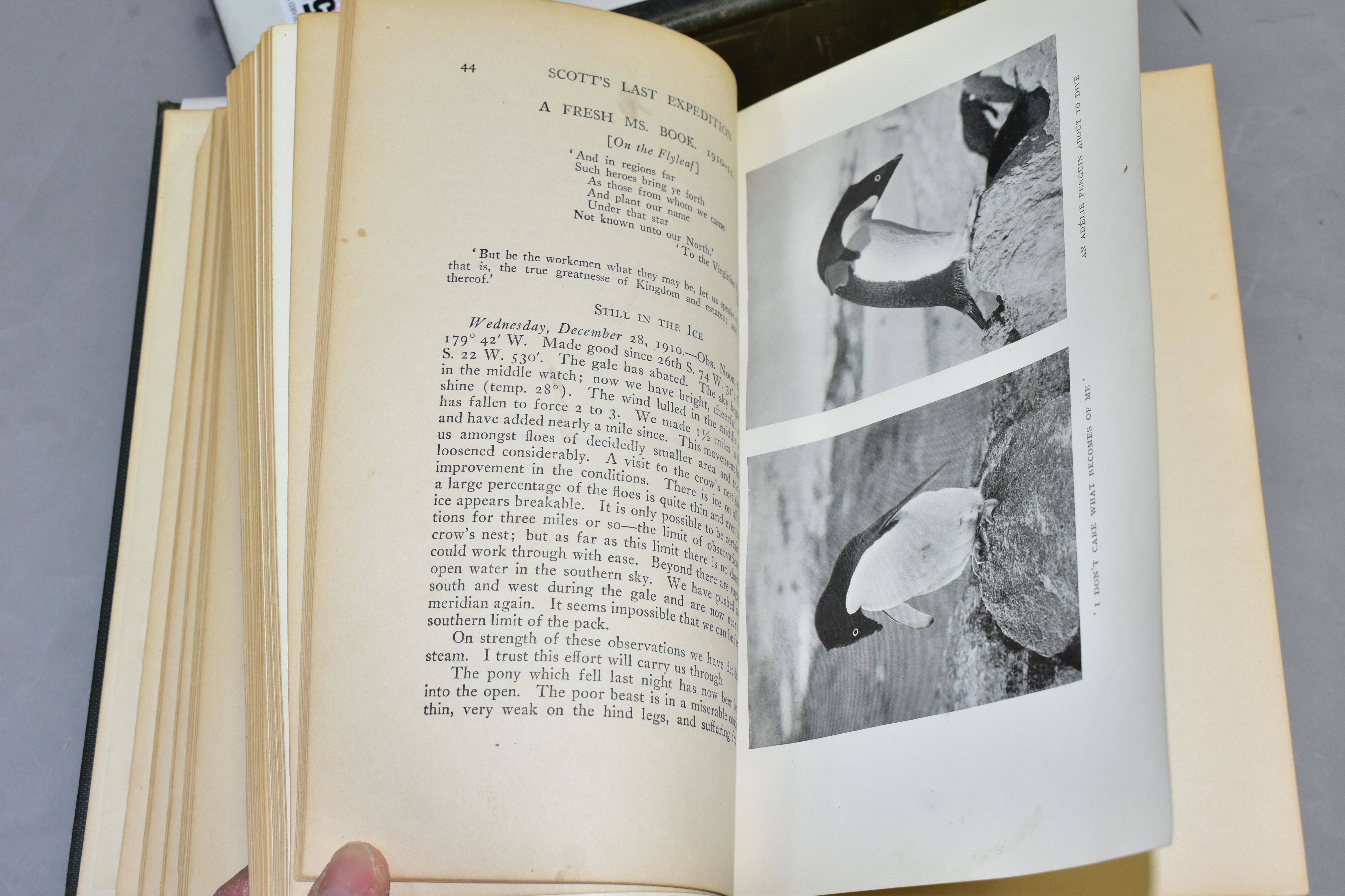 SCOTT'S LAST EXPEDITION, Vols.1 & 2, American 1st Edition published by McClellend and Goodchild, - Image 5 of 12