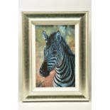ROLF HARRIS (AUSTRALIAN 1930) 'YOUNG ZEBRA' a signed limited edition print 9/195, signed top