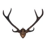Two pairs of mounted antler horns, late 20th century, each mounted on a wood shield, 80 and 86cm