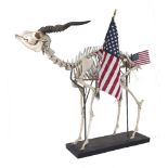 An eland skeleton, second half 20th century, on metal stand, embellished with USA flags, 100cm