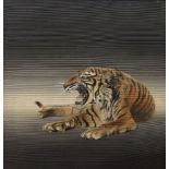 A Japanese textile picture of a recumbent roaring tiger in glazed pine frame, 55 x 53.5cm;