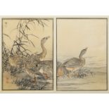 Kono Bairei, Japanese 1844-1895, Bean Geese and Green Peacock, from the series Bairei hyakucho gafu,