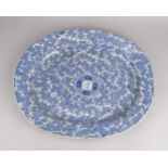 A Victorian blue and white ironstone meat plate, applied to the centre with a circular armorial of a