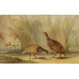 British School, mid-late 19th century- Two pheasants and hunting dogs; watercolour, 11.5 x 18.5 cm