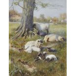 British School, late 19th/early 20th century- Sheep and lambs resting under a tree with cottages