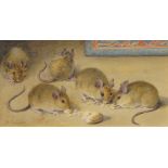 Agnes Louise Holding, British, late 19th/early 20th century- Study of a group of mice;