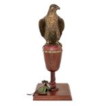 Robert Leggat, b.1963, a bronze model of a Peregrine falcon, edition 10/10, depicted tethered to a