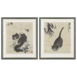 20th century Chinese school, ink and colour on paper, two studies of cats, each with inscriptions