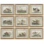 Twelve Chinese pith paper paintings of birds, late 19th century, all studies of pairs of birds, 10.6