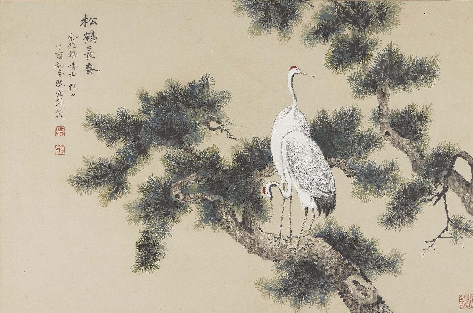 ZHANG ZHEN (Chinese, 20th century), ink and colour on paper, study of two cranes perched atop a pine