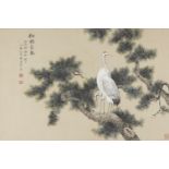 ZHANG ZHEN (Chinese, 20th century), ink and colour on paper, study of two cranes perched atop a pine