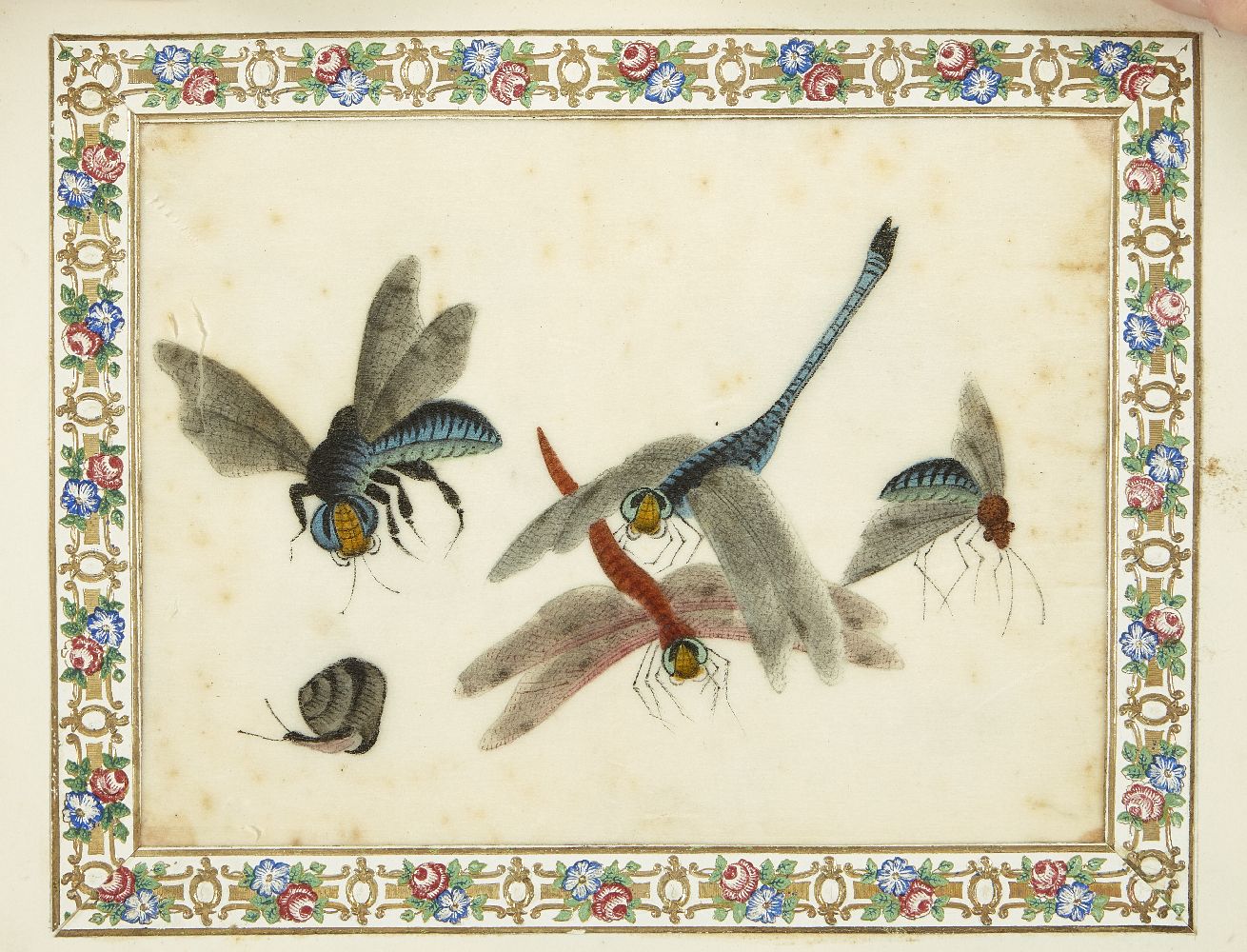 An album of twelve gouache paintings on pith paper, late 19th/early 20th century, with studies of - Image 10 of 13
