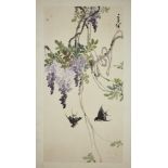 20th century Chinese school, ink and colour on paper, study of two birds flying below bunches of