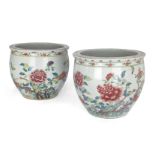 A pair of Chinese porcelain famille rose jardinières, 19th century, painted with butterflies