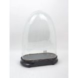 A glass dome on ebonised base, 19th century, dome approx. 44cm highPlease refer to department for
