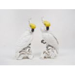A pair of Staffordshire glazed Sulphur Crested Cockatoo, 20th century, hand painted with factory