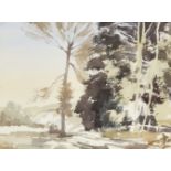 Roy Petley, British b.1950- Landscape with trees; watercolour on paper, signed lower left 'Roy
