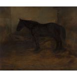 Albert Houthuesen, British/Dutch 1903-1979- Farm Pony; oil on canvas, signed and dated lower left '