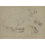 Joy Adamson, British/Czech 1910-1980- Lion study; pencil on paper, 24.5 x 34 cm: together with