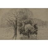 Mary Woodall, British 1901–1988 - Sketch of the avenue at the artist's home, Yotes Court, Mereworth,