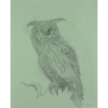 Elizabeth MacDonald-Buchanan, British 1939-2020 - Owl; pencil on paper, signed with initials '