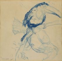 Sir Frank Brangwyn RA RWS PRBA, British 1867-1956 - Toucan; coloured pencil on paper, signed with