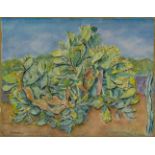 Morris Kestelman RA, British 1905-1998- Cactuses; gouache, ink and pencil on paper, signed lower