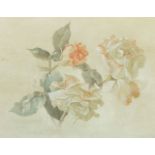Edward Hurst, American 1912-1972- Botanical study; watercolour heightened with white, signed lower