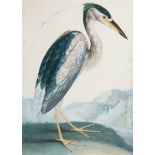 European School, mid-20th century- Exotic birds; watercolour with gum arabic, two, ea. 46 x 34 cm (