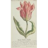 French School, early/mid-19th century- Floral studies; watercolours, two, ea. inscribed lower right,