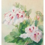 Edward Hurst, American 1912-1972- Pelargoniums; watercolour and pastel heightened with white, signed