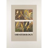 Sir Peter Blake CBE RDI RA, British b.1932- O is for Ornithology, 1991; screenprint in colours on