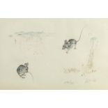 Fritz Rudolf Hug, Swiss 1921-1989- Rabbit, 1969; Squirrel, 1967; and Dormice, 1966; lithographs in