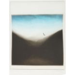 Alan Tinley, British contemporary- Seabirds Over Grinton Moor I, 1975; etching with aquatint in