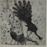 Clement Beer, British b.1931- The Peacocks; etching, signed, titled and numbered 9/75 in pencil,