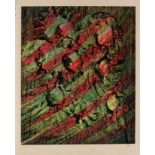 Sir Sidney Nolan OM AC CBE RA, Australian 1917-1992- Floral Images- Print 2, 1972; screenprint in