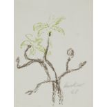 Erich Heckel, German, 1883-1970- Flowering branch, 1968; lithograph in colours, signed and dated