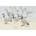 Noel William Cusa, British 1909-1990 - Canada Geese; gouache and pencil on paper, signed lower right
