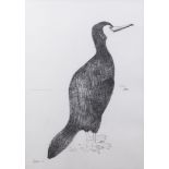 Mary Fedden OBE RA RWA, British 1915-2012 - Cormorant, 2001; pencil on paper, signed and dated lower