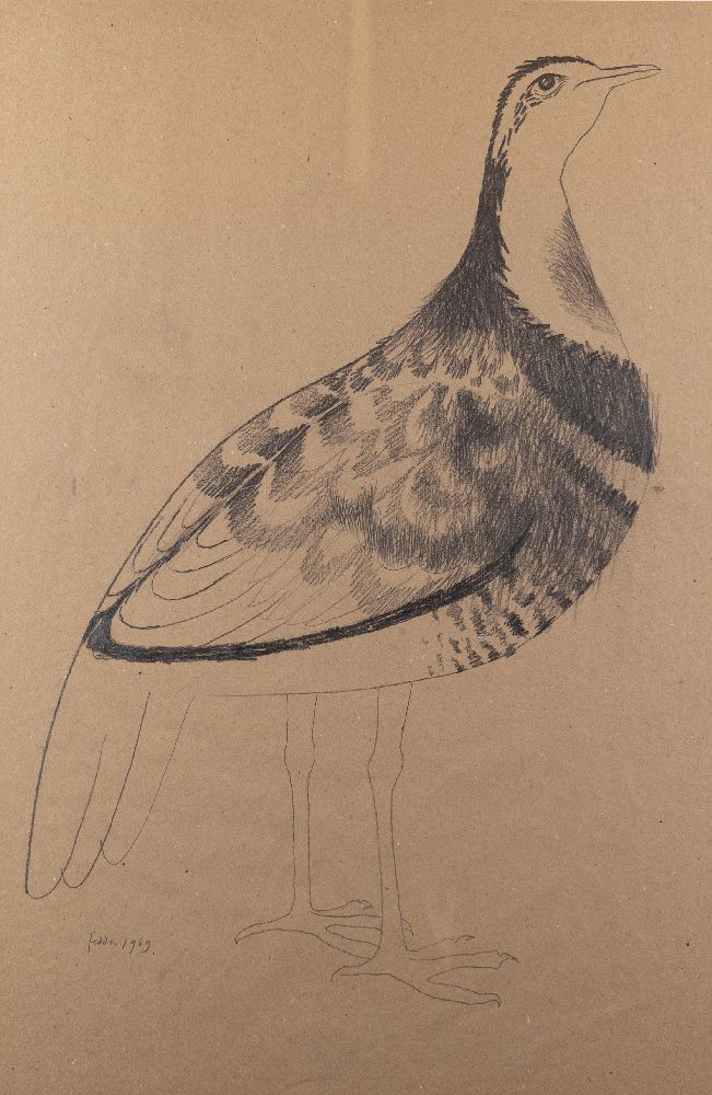 Mary Fedden OBE RA RWA, British 1915-2012 - Partridge, 1969; pencil on paper, signed and dated lower