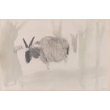 Mary Newcomb, British, 1922 - 2008 - Bagot Goat, 1995; gouache and pencil on paper, signed with