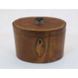 A George III satinwood tea caddy, late 18th century, of oval form with with inlaid conch shell