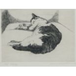 MelvynÂ Petterson RBAÂ NEAC, British b.1947- Cat Study, 1992; etching, signed, titled, and dated
