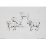 Dido Crosby, British b.1961- Four Sheep, Romney, 2001; pencil on paper, signed and dated lower right