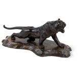 A Japanese bronze tiger, Meiji period, the roaring beast depicted in full stride with glossy stripes