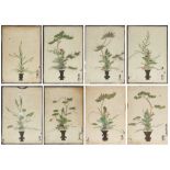 A set of eight Japanese hand-coloured engravings of antique vases with floral arrangements, Meiji