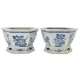 A pair of Chinese hexagonal blue and white jardinières, 19th century, each sturdily potted,