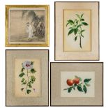 A Chinese painting and three watercolour studies, 19th century, painted with ink and colour on paper