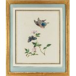 A set of three Chinese paintings on pith paper, 19th century, depicting various birds and foliage,